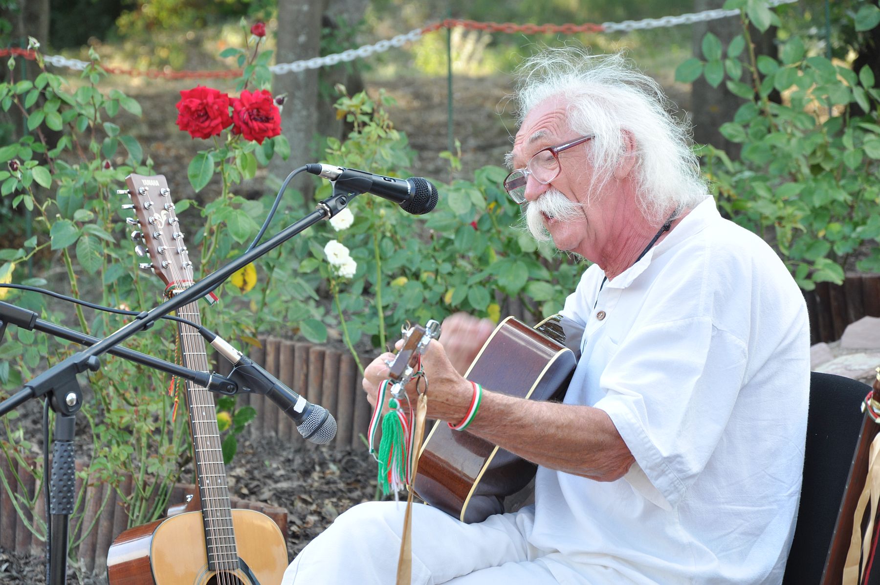 Tolcsvay Béla koncertje a Katonai Emlékpark-Nemzeti Emlékhelyen